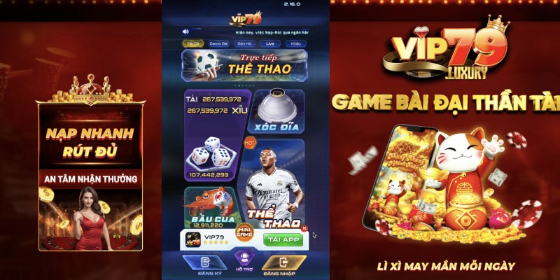 Giới thiệu về VIP79 APK